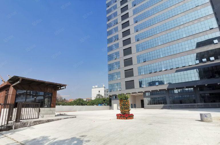 虎门镇新出全新标准厂房一楼