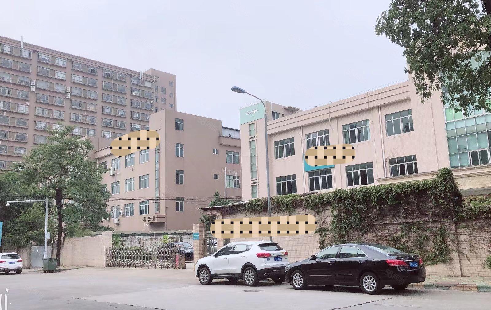 白沙新出独门独院2380平厂房出租