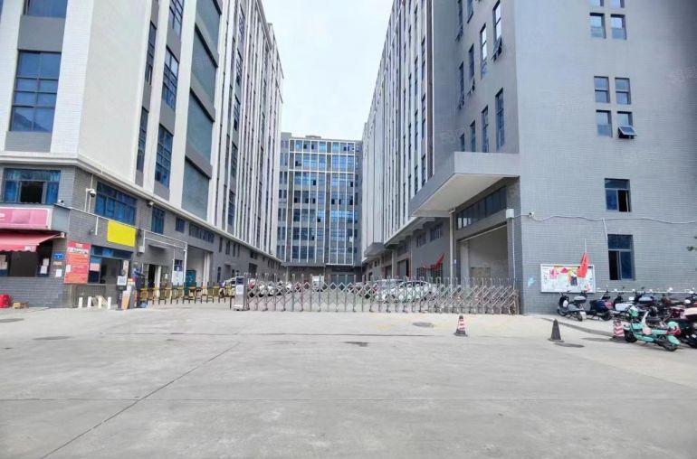 虎门镇树田新出带无尘车间厂房楼上2300平方