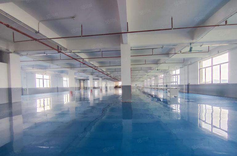 10元出租虎门原房东带精装修带航车独院厂房一到四楼各1500