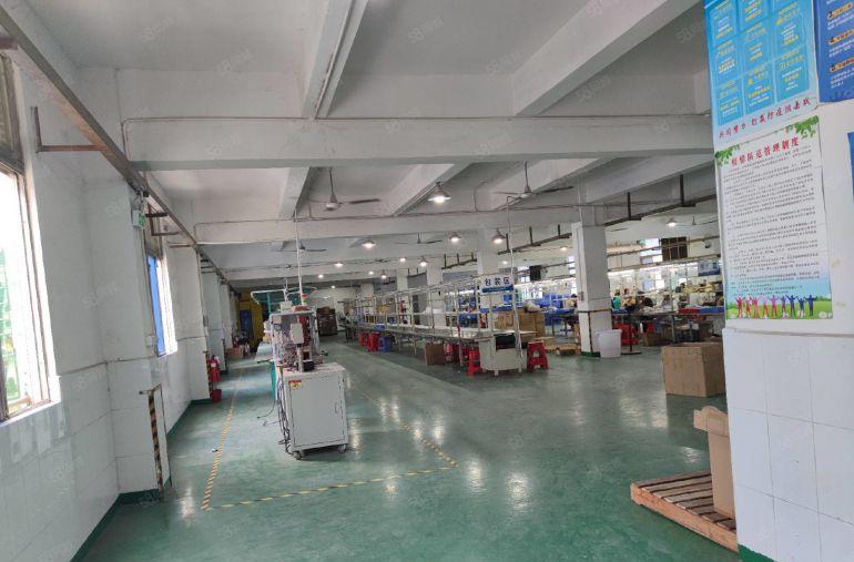 虎门新联业主独院厂房出租6000平米可分租价格便宜近高速口好