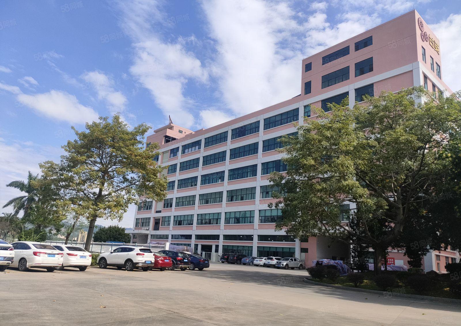 虎门镇龙眼工业园楼上1100方厂房出租水电线路齐全精装修