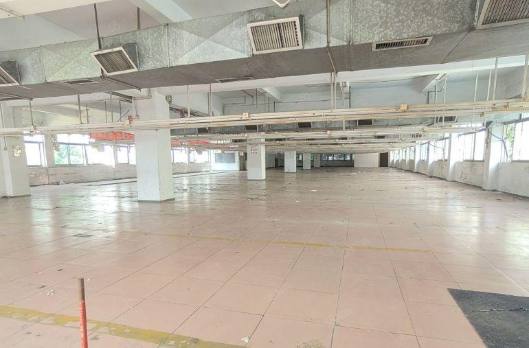 原房东花园式现成装修水电齐全空地超大现成纺织服装电子行业厂房