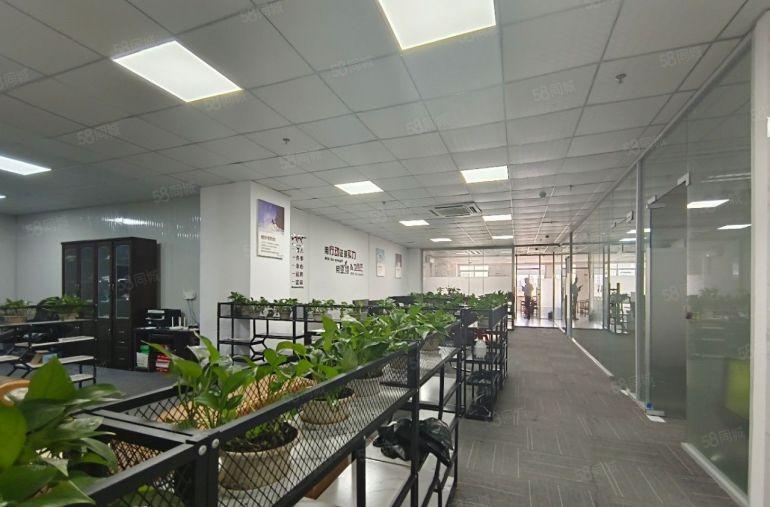 大岭山精装修1000平米原房东低价厂房出租电商仓库