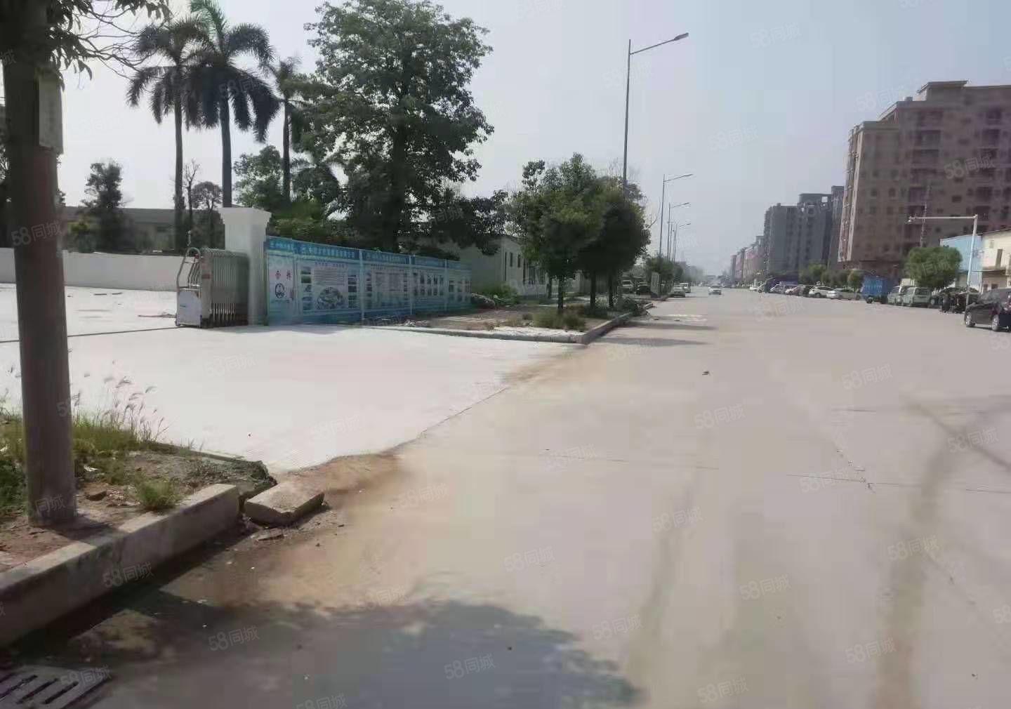 实际面积！低价！龙眼原房东全新10米高5000平钢构厂房出租