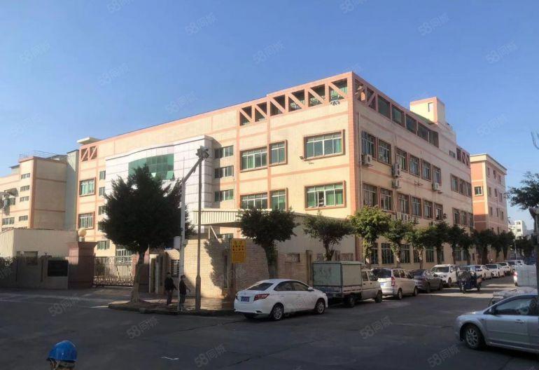 虎门原房东现成装修水电齐全层高六米不挑行业独门独院厂房