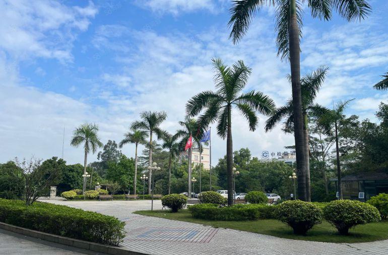 低价花园式厂房标准一楼滴水7米带有地坪漆无尘车间