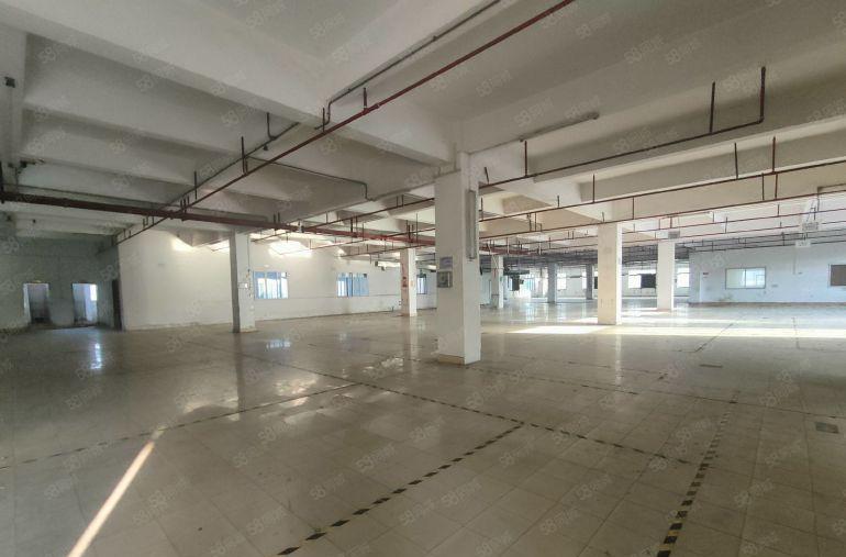 虎门原房东独门独院厂房出租空地超大形象漂亮工衣用地