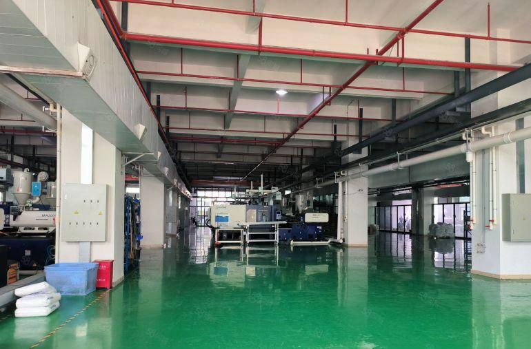 虎门树田社区新出原房东2000平带消防喷淋，低价厂房出租