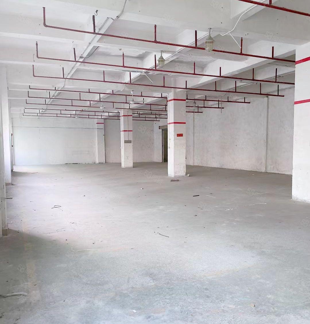 龙眼工业园区新出一三整层6米高带消防喷淋