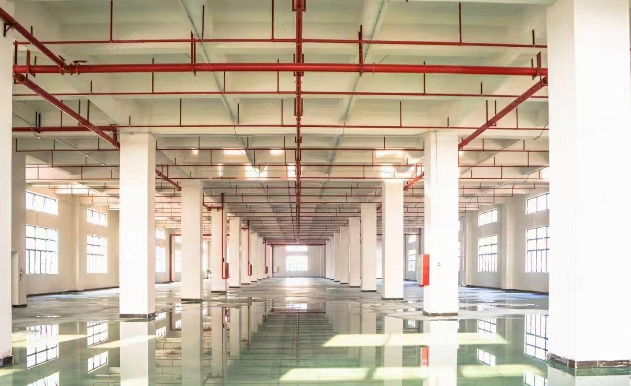 虎门新出原房东全新独院标准厂房证件齐全可分租