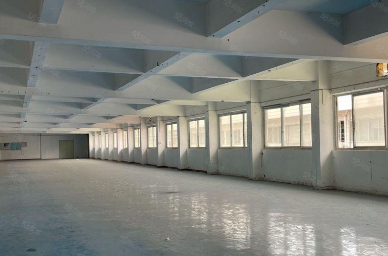 8块8超低价！虎门1000平米带装修厂房出租