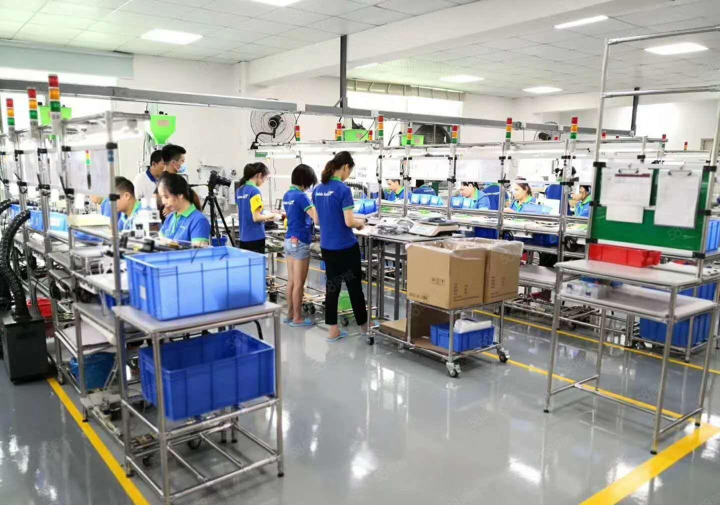 虎门南栅楼上新出精装修1200平水电到位厂房出租仓库出租