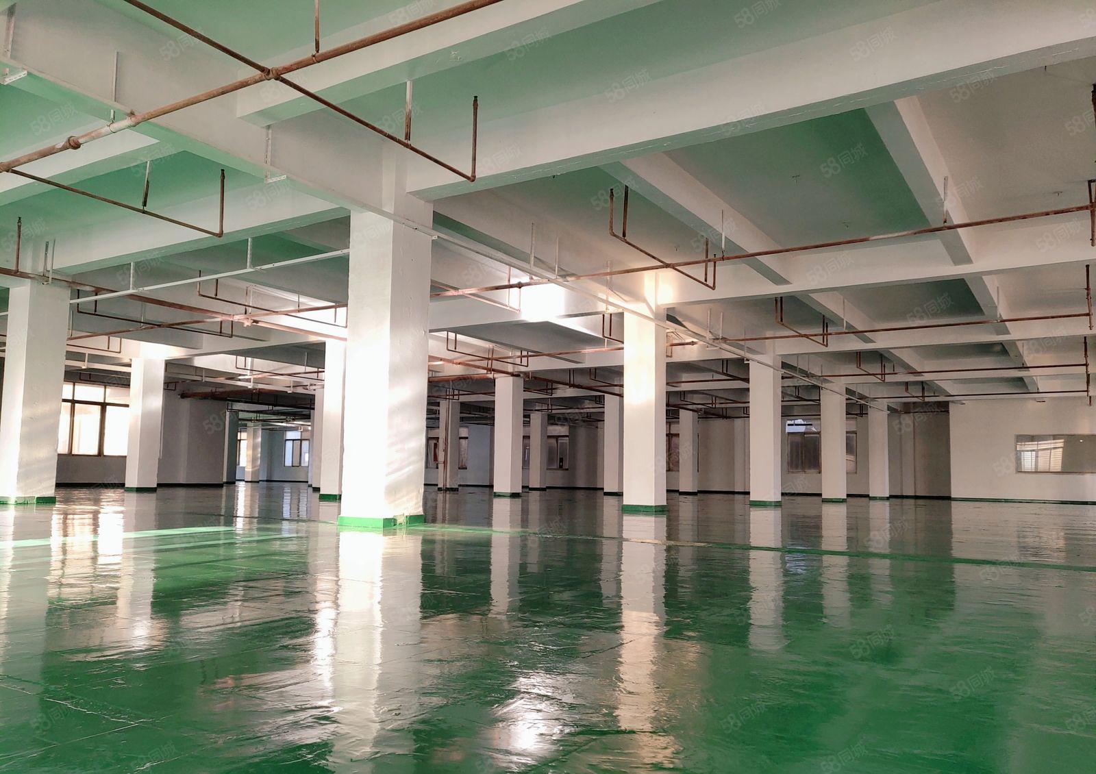 变压器可过户！虎门8800平新地坪漆12元独院厂房可立即入驻