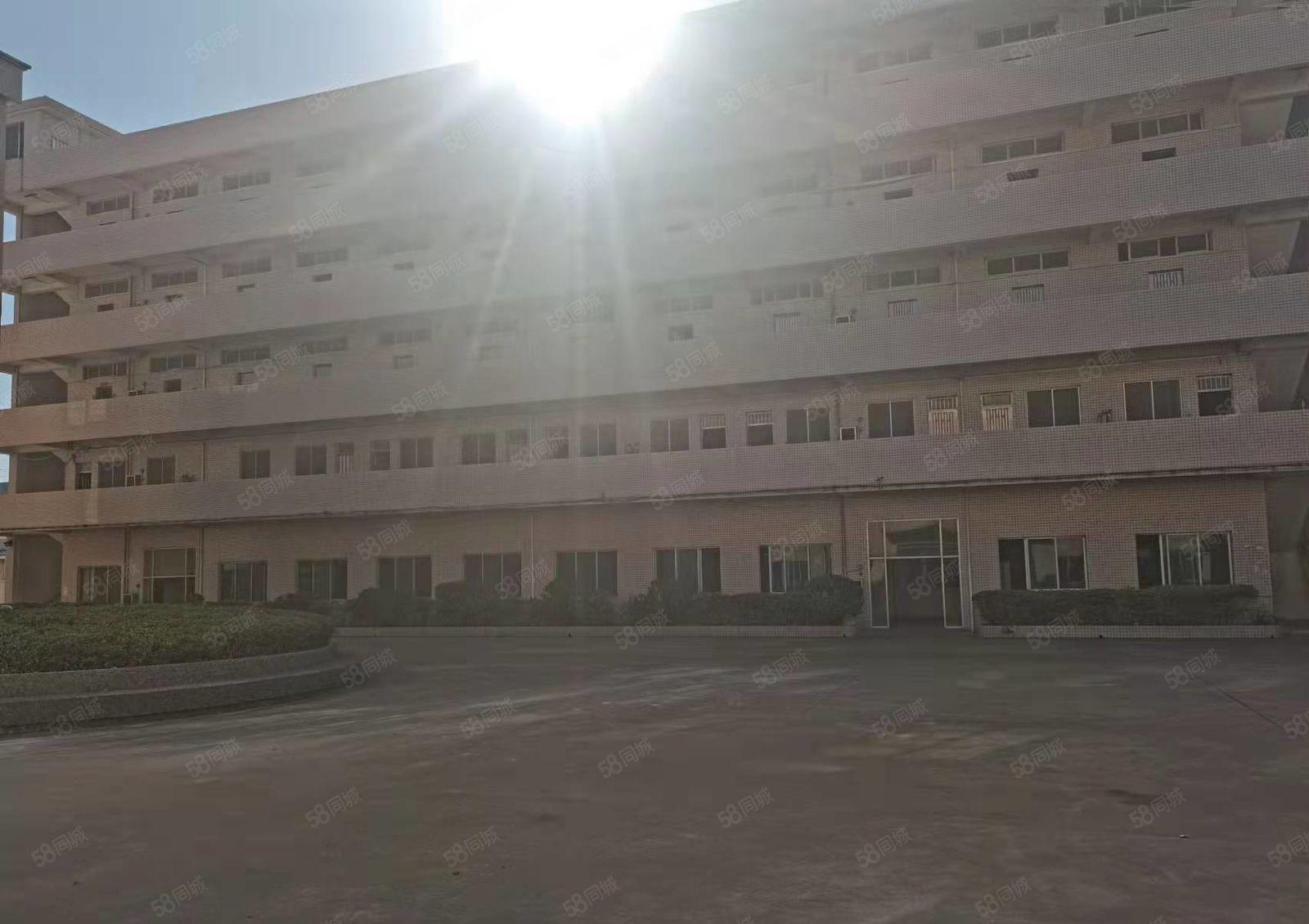 路东社区新出独院厂房出租9300平可办环评（大小可分）