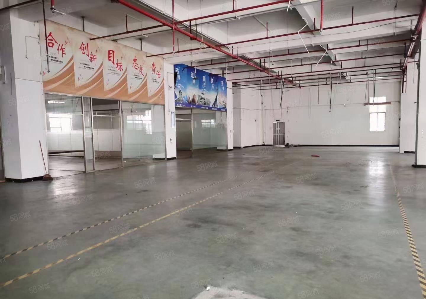 虎门镇龙眼工业园标准厂房一楼1420平方厂房出租，可以分租