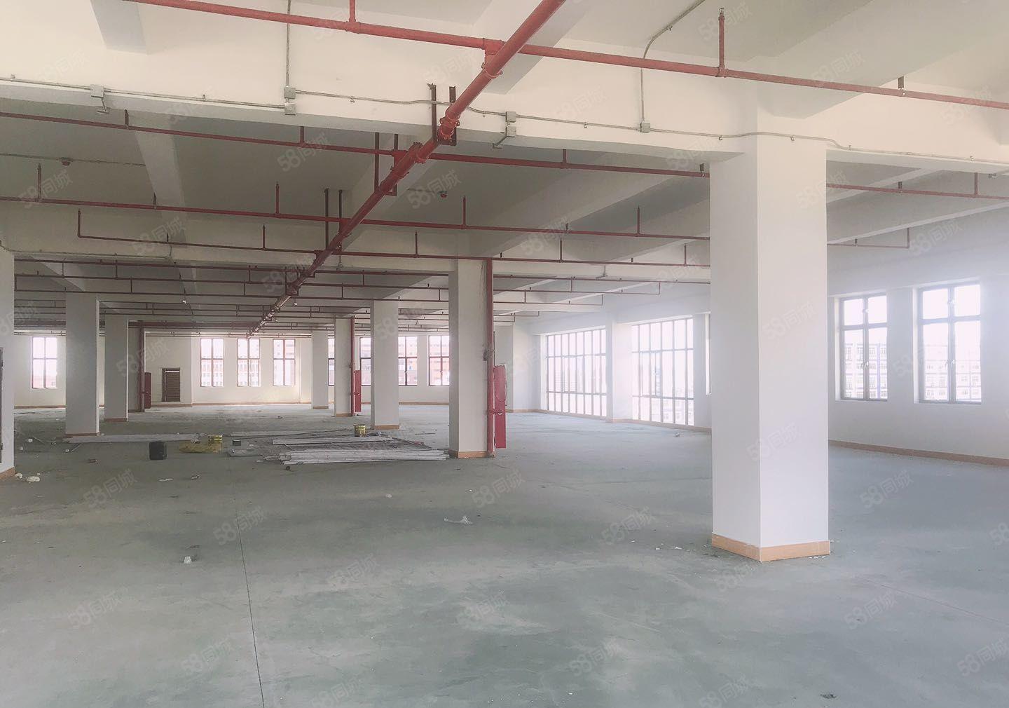 虎门镇怀德社区原房东新建独院厂房30000平方厂房出租可分租