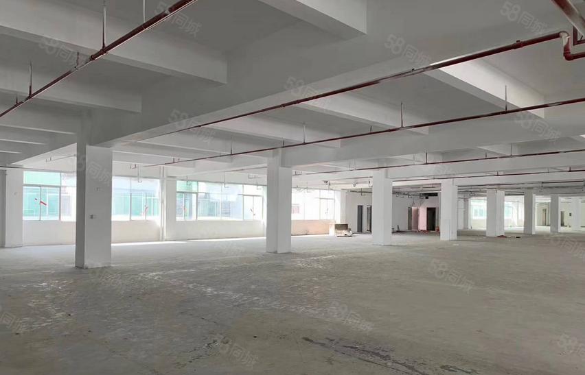 南栅四区附近厂房招租，2楼3楼600平方