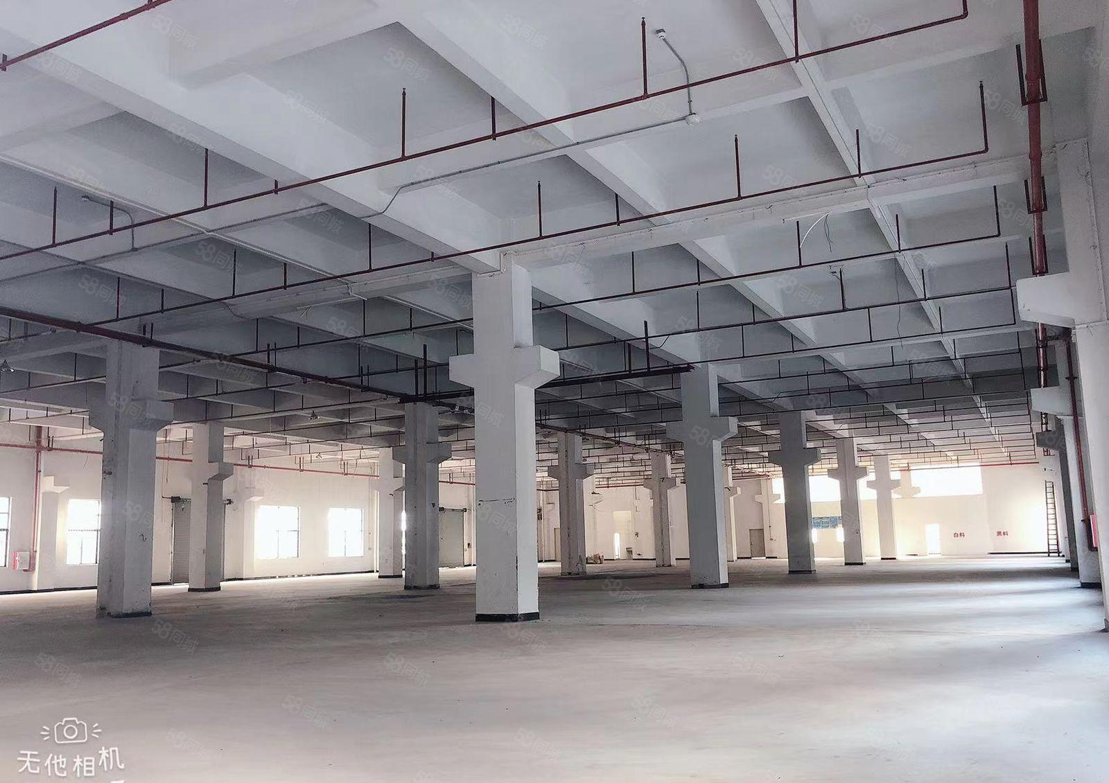 虎门镇威远厂房一楼二楼各3580平方厂房出租可以分租