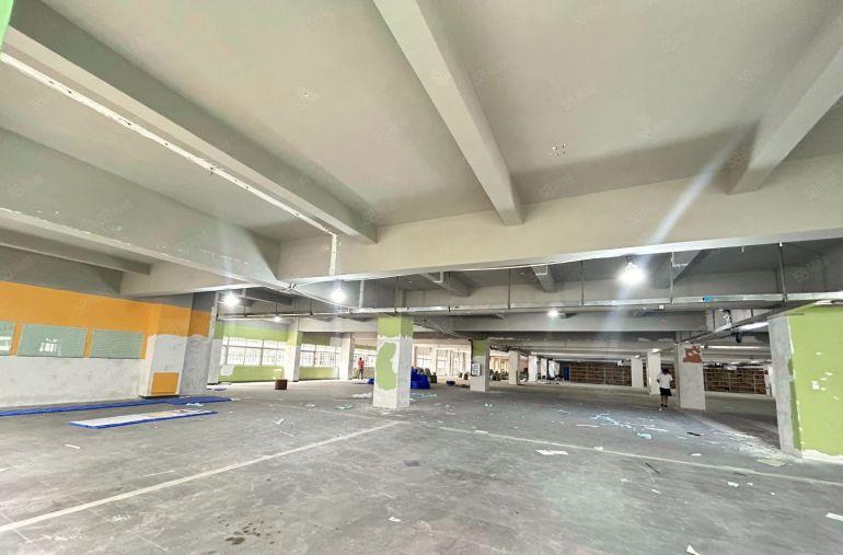 虎门厂房出租合适电商仓库服装行业带有消防喷淋3吨电梯好招工