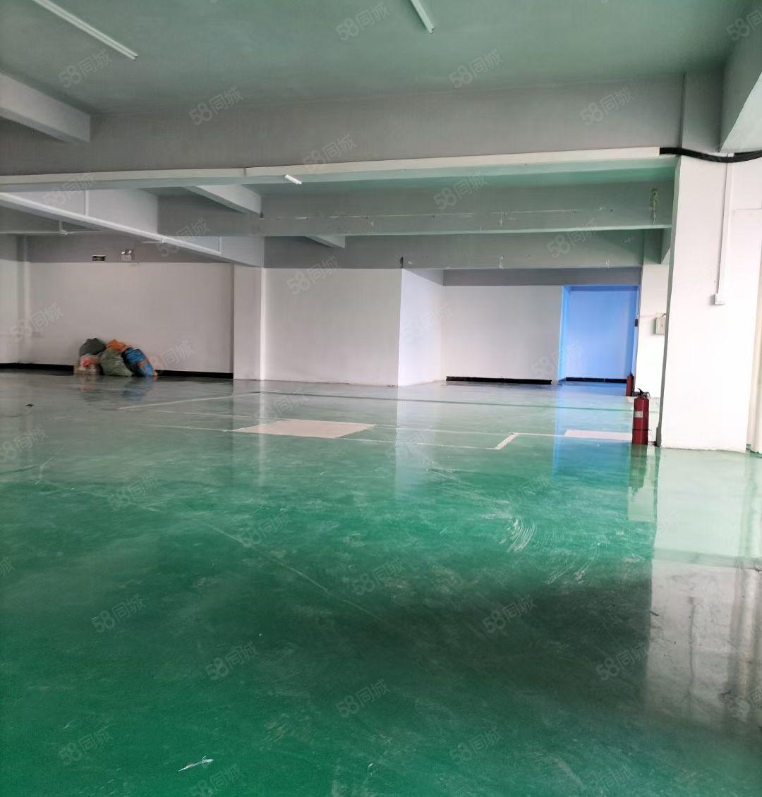 虎门白沙新空出原房东厂房4楼516平方 水电齐全！