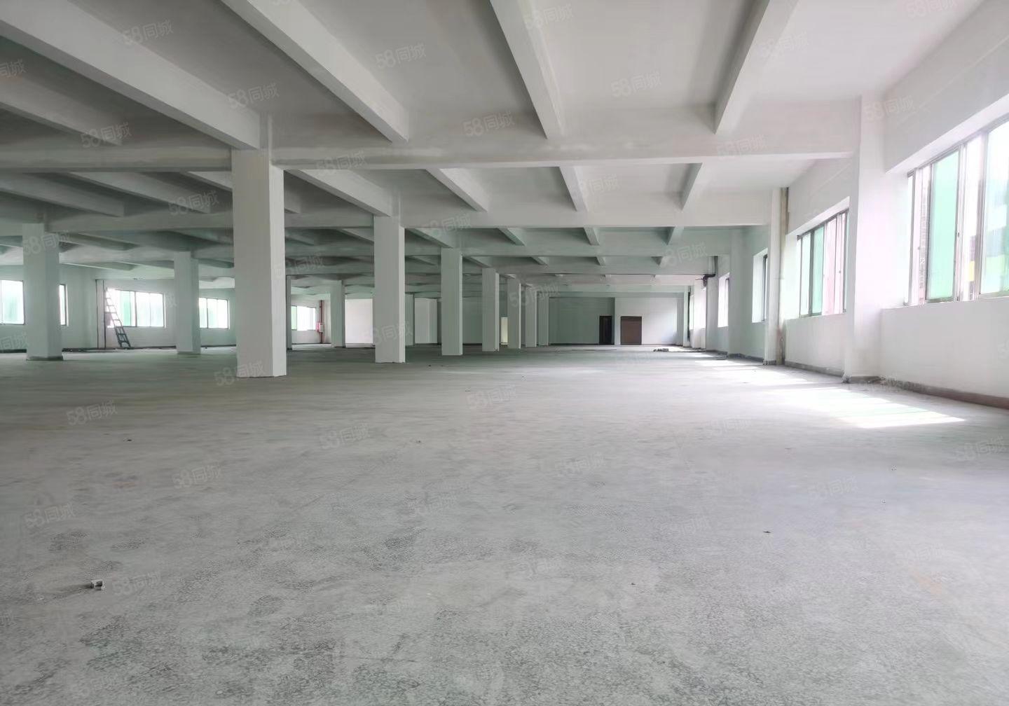 新出独院厂房7500平宿舍2000平形象好空地大