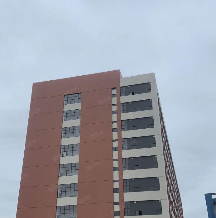 全新汽车坡道仓库出租 高端轿车汽车仓库 可上楼码头一公里内