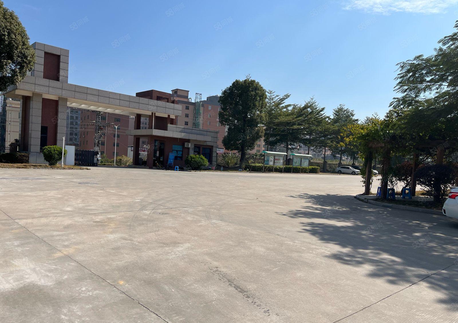 大岭山新出原房东标准厂房13层一楼高度6米空地超大可办环评