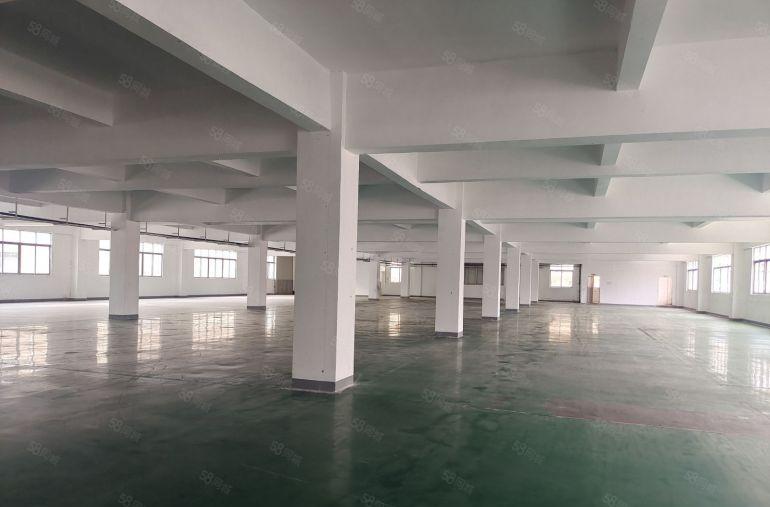 虎门镇怀德原房东独门独院8000平方厂房出租 可以分租