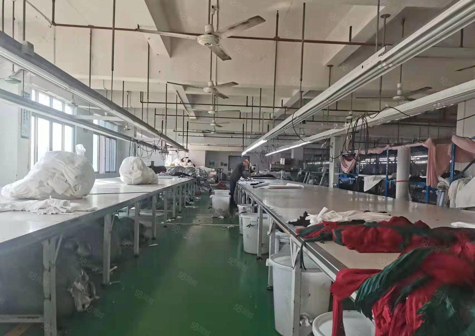 厂房出租虎门白沙空出楼上2000平（带装修）