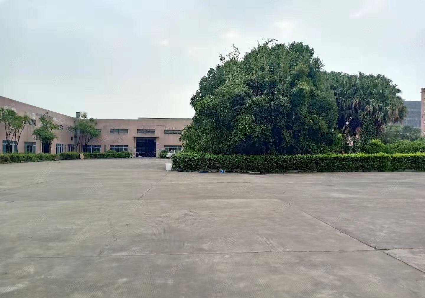 （新）东莞虎门镇本地一手房东自用钢构独院厂房出租，可办环评！