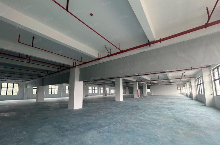 虎门原房东厂房出租底价15元免租期2个月带消防喷淋可办环评