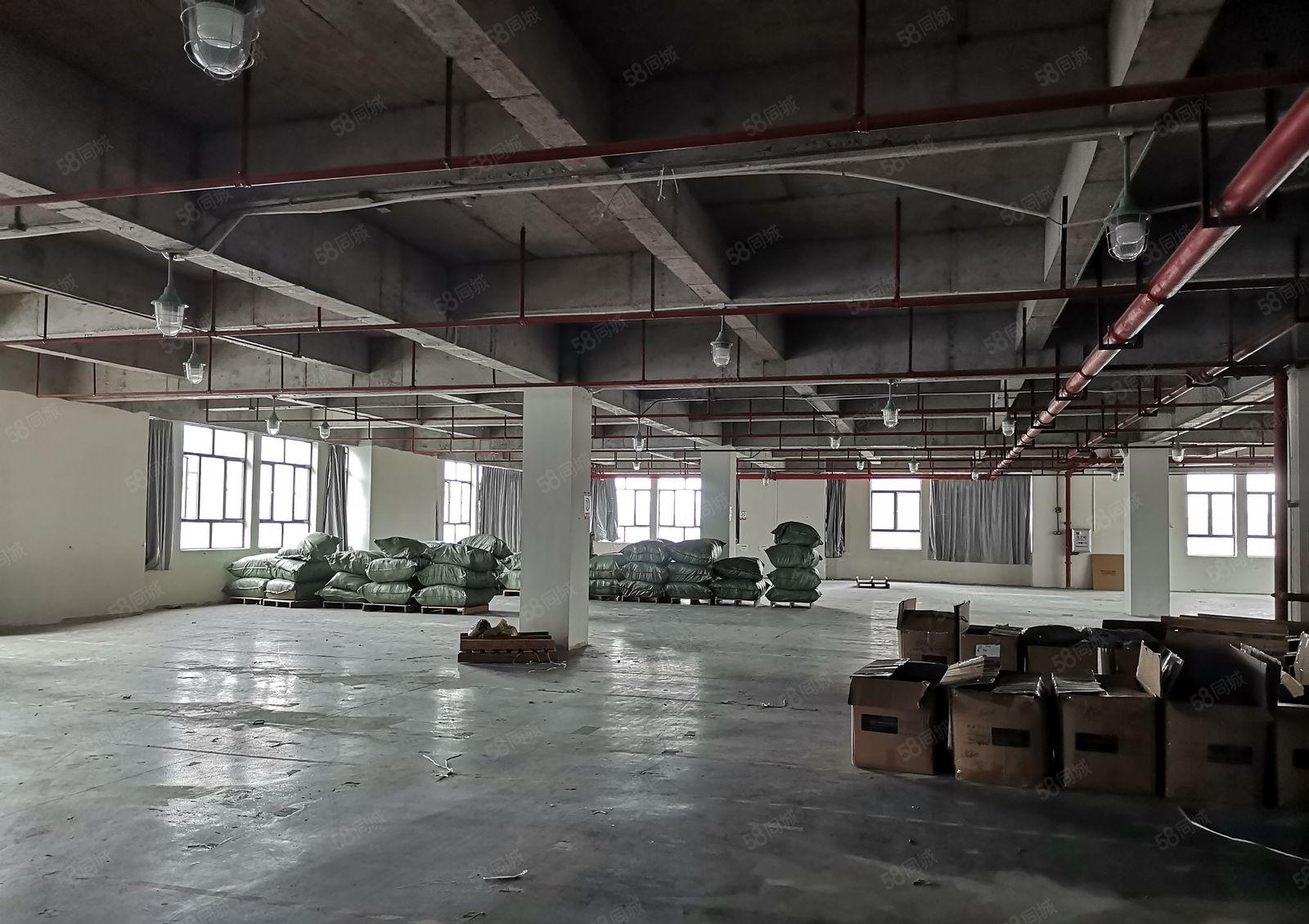 虎门新出独院2700平一层 带装修 可分租可整租