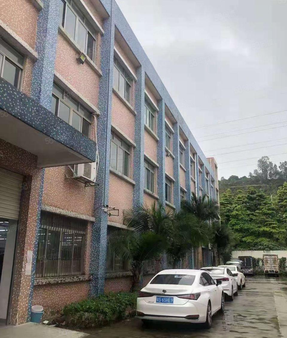 虎门独门独院8000平厂房出租带独立办公室带宿舍