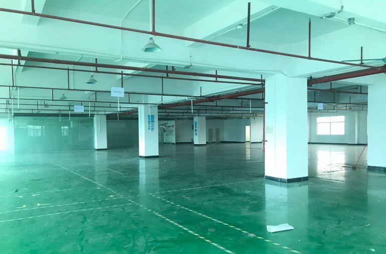 虎门镇怀德800平 带精装修厂房 有地坪漆办公室 园区形象好