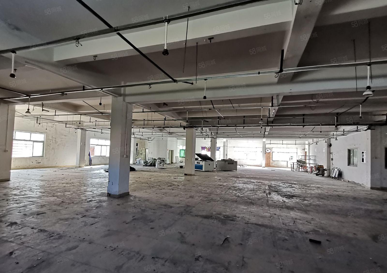 虎门南栅独院厂房4500平一层 靠近长安  面积大小可分