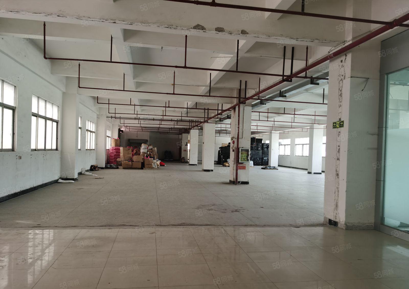 精选厂房新出一手房东厂房出租一整层2500方实际面积长方形