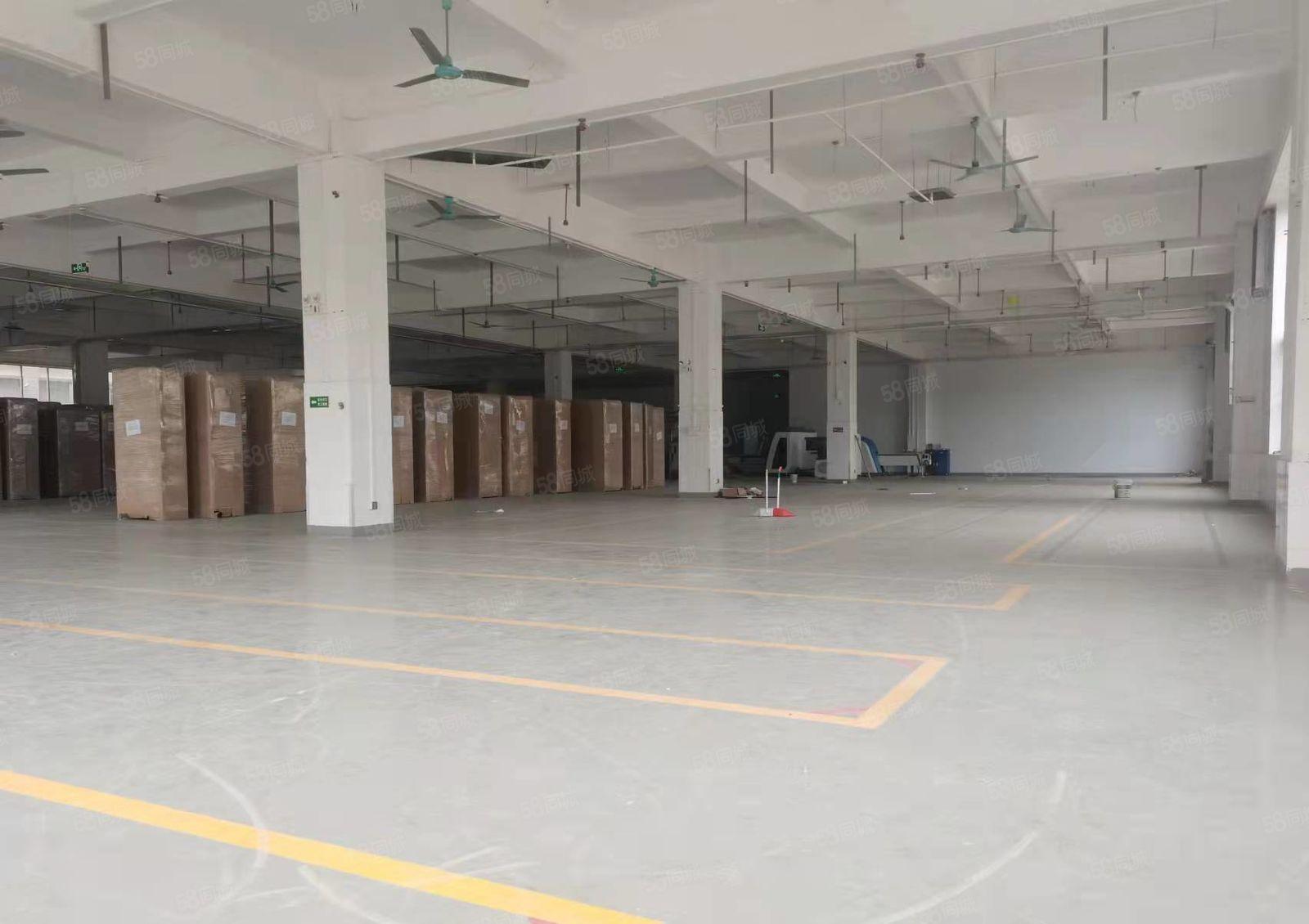 虎门镇大型花园式厂房招租，空地大，（大小可分）