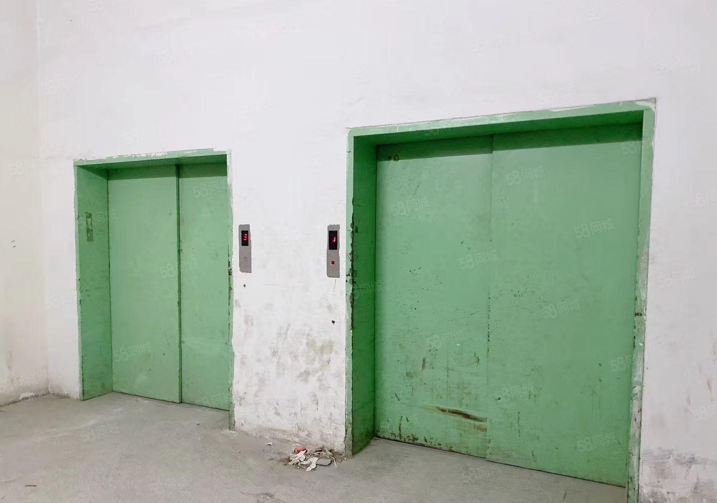 龙眼工业园区新出一三整层6米高带消防喷淋