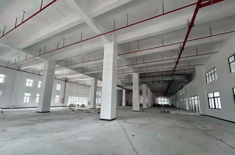 新盘带有红本全新厂房一层6000平有环评消防喷淋大小可分租