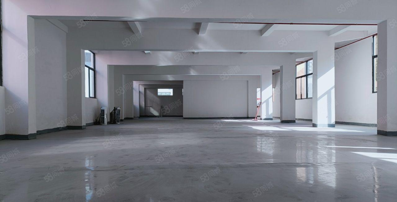 虎门 独院厂房不限电地坪漆可办环评