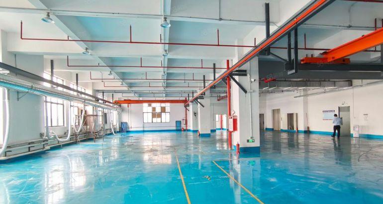 虎门 北栅本地房东独院4500平 电大精装修水电齐全空地大