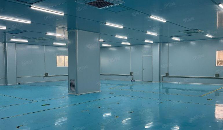 虎门原房东独栋现成无尘车间1350平厂房出租 精装修实际面积