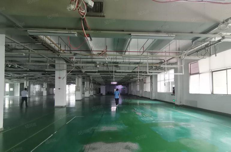 10元起租虎门南栅楼上厂房出租2000平可分租水电齐全带装修