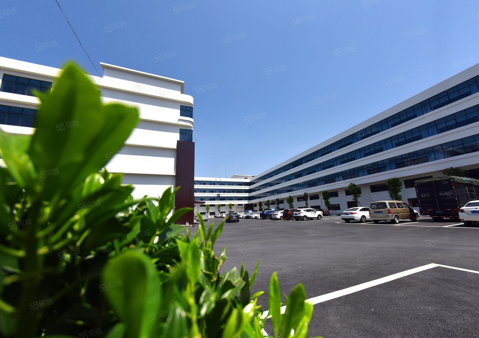 按需分租，租金11元起，厚街镇11万平方产业园开发商直租