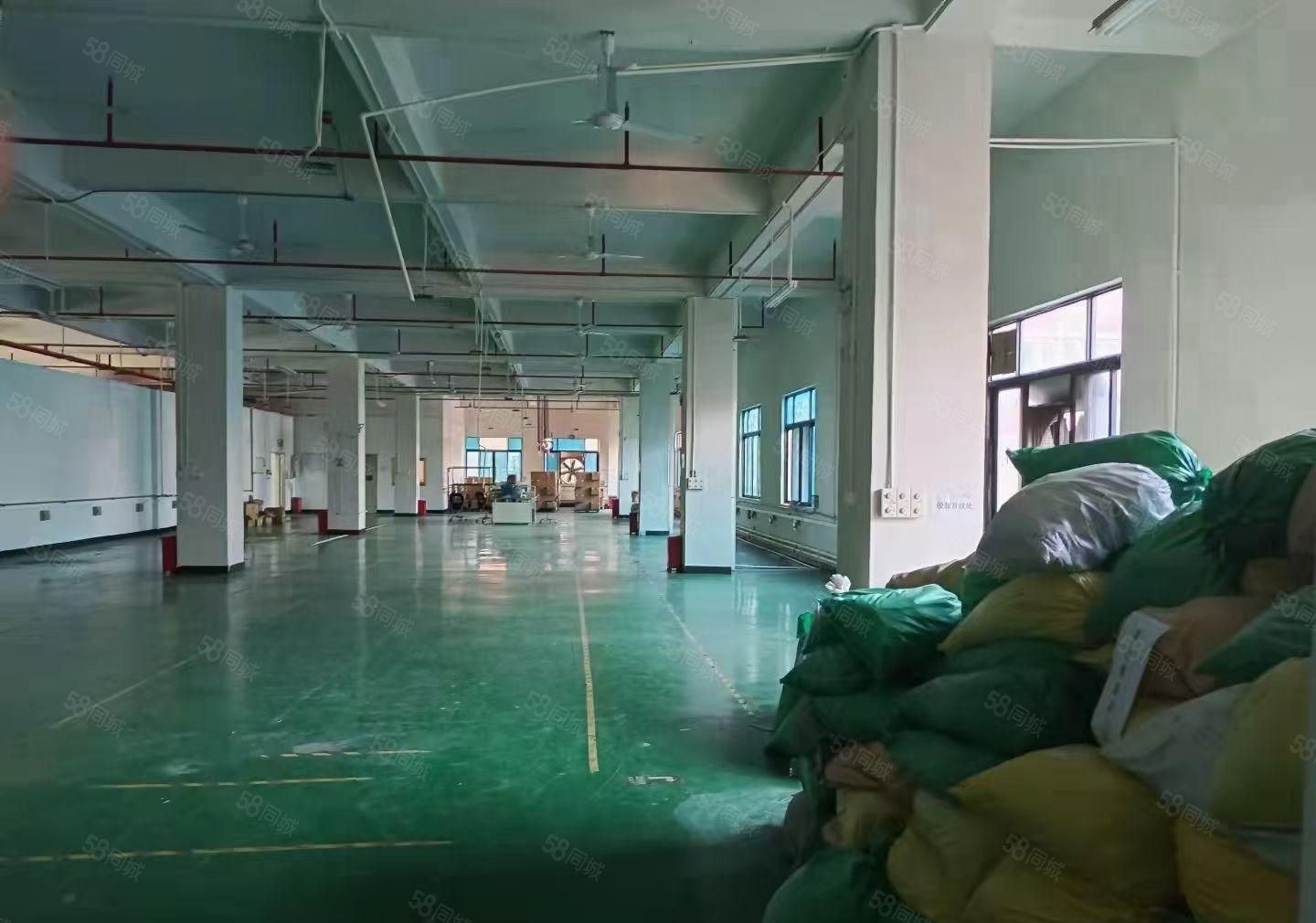 现成装修水电齐全，虎门镇怀德雅瑶新出五楼1250平米出租