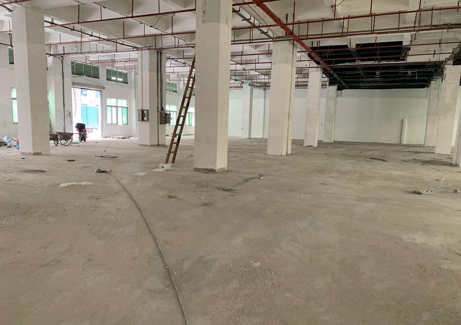 龙眼重工业厂房首层高度5.8米！楼上4米可办环评可分租！