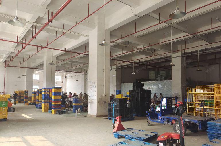 虎门镇南栅原房东分租7米高一楼1350平方厂房出租 可以分租