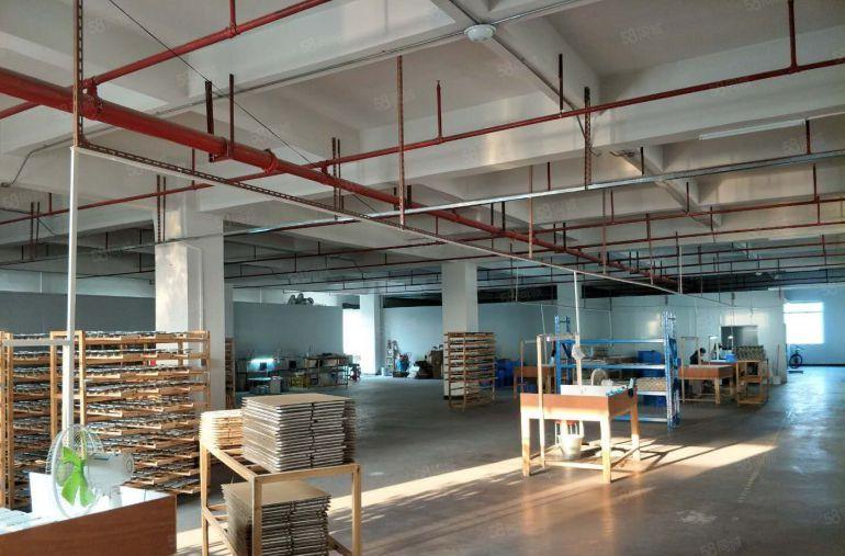 18块租一楼400平和650平！虎门大宁标准一楼厂房低价出租