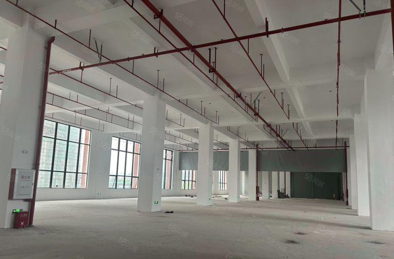 虎门电商仓库物流厂房出租大小可分租一楼8米电梯5吨